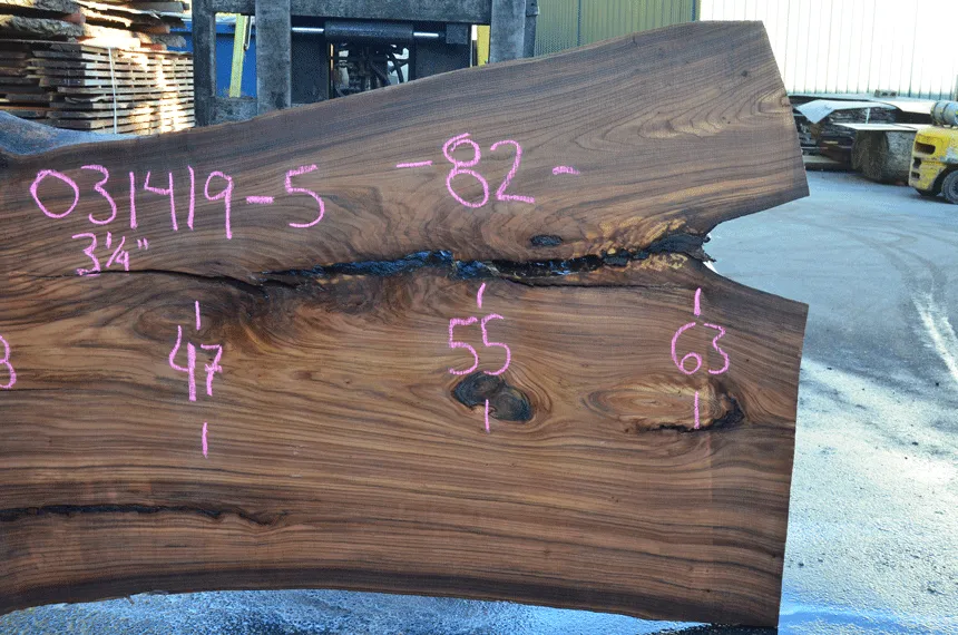 031419-05 Elm Slab